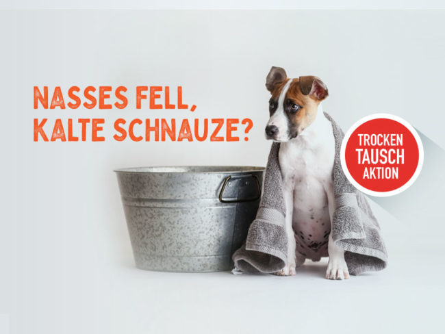 Under Pressure Aktion Trockitausch