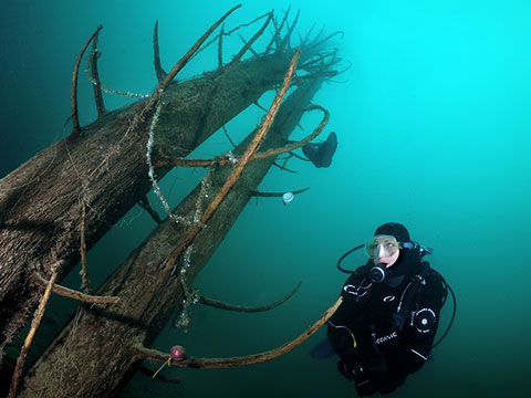 Under Pressure Sporttauchen