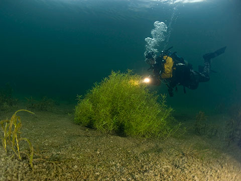 Under Pressure Trockentauchen