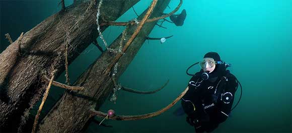 Under Pressure Tauchen im Attersee Tauchkurse für Anfänger