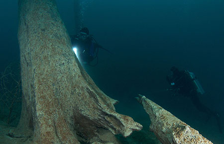 Under Pressure Tauchbasis Attersee Tauchkurs für Fortgeschrittene Under Pressure Tauchbasis Attersee Tauchkurs für Fortgeschrittene